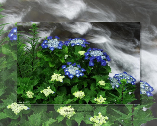 430469 (a): :1280x1024
